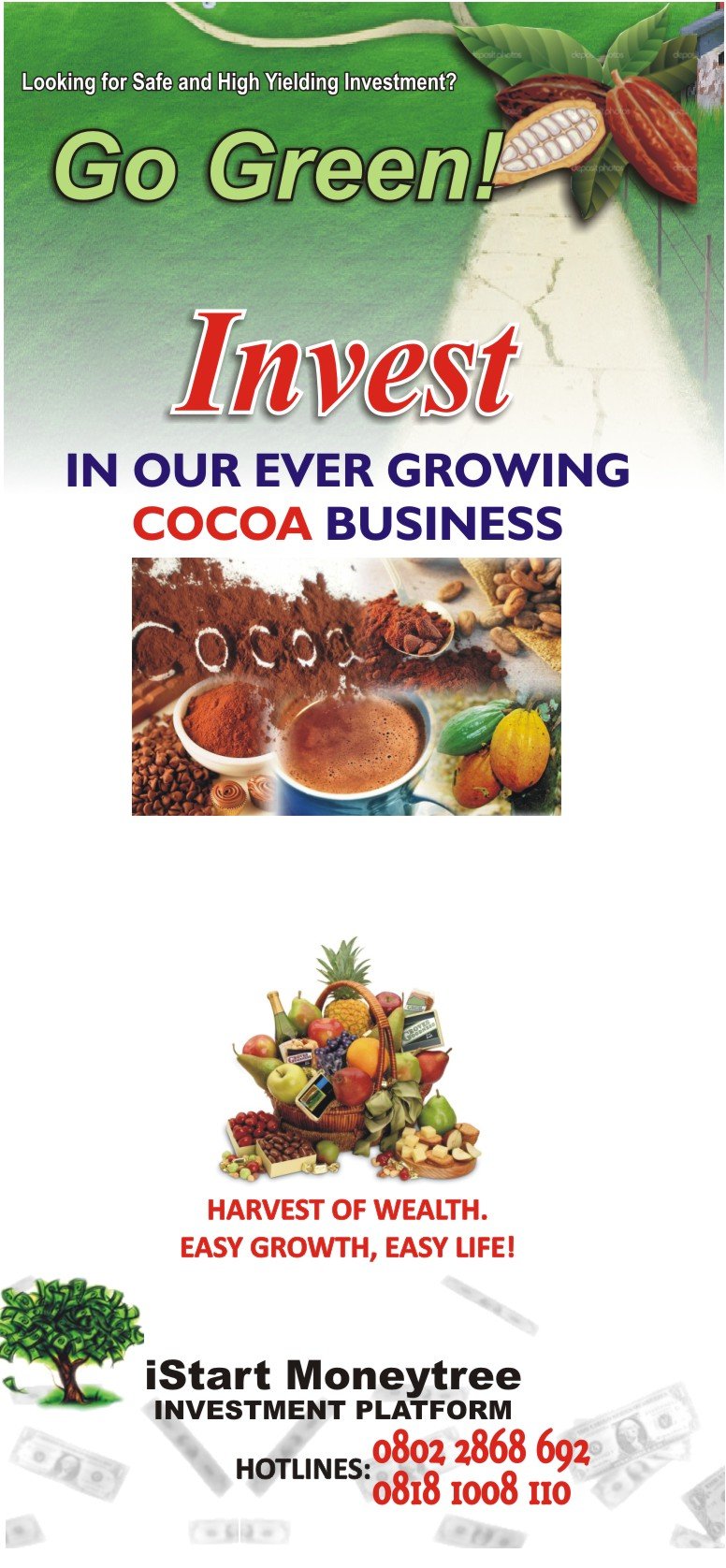 Cocoa Investment Club