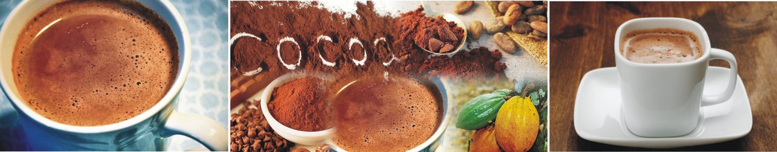 Cocoa Invest