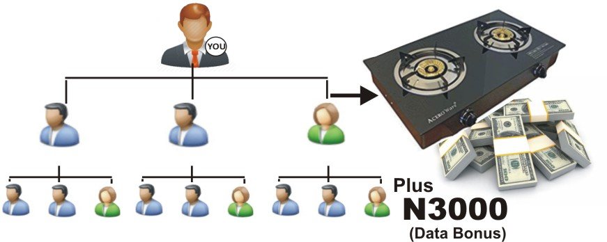 Introductory Feeder Stage